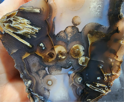 Eye Agate Pair
