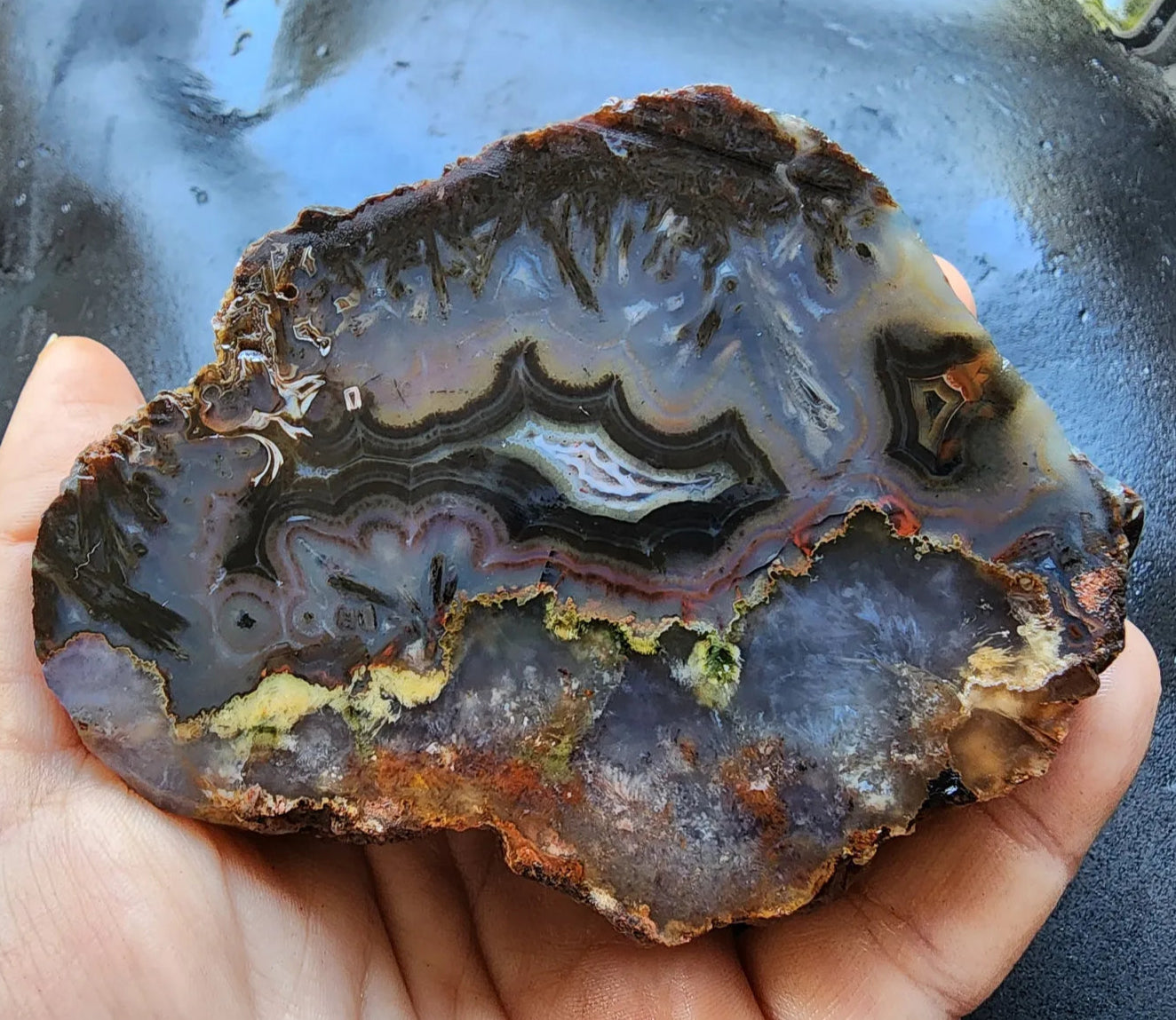 Floater Agate Pair