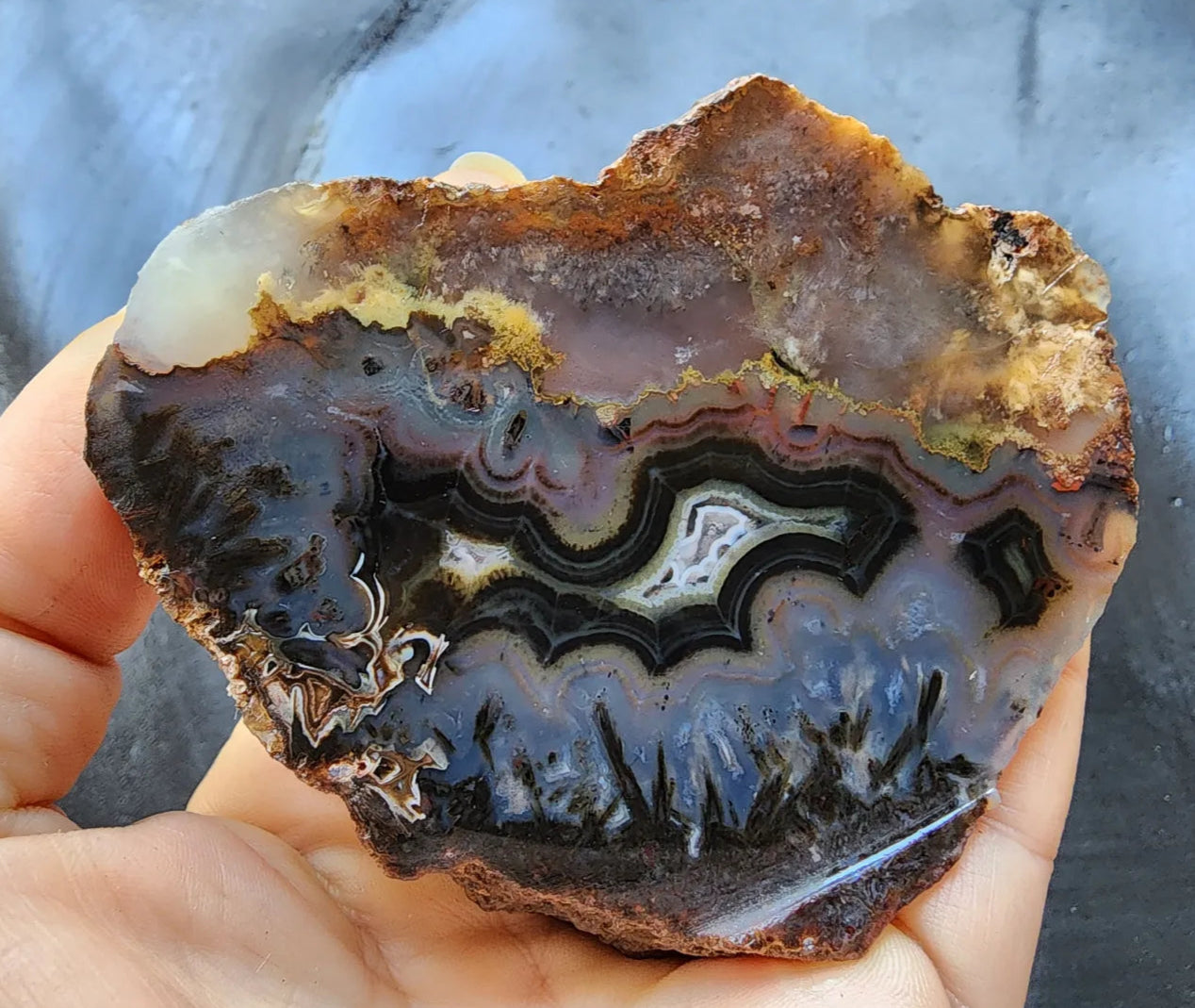 Floater Agate Pair