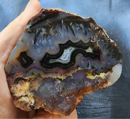 Floater Agate Pair