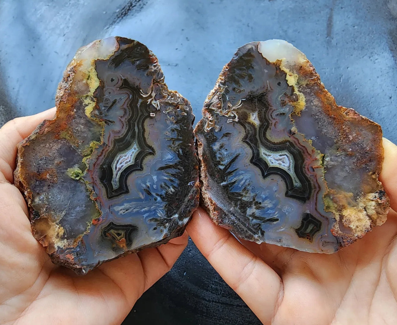 Floater Agate Pair