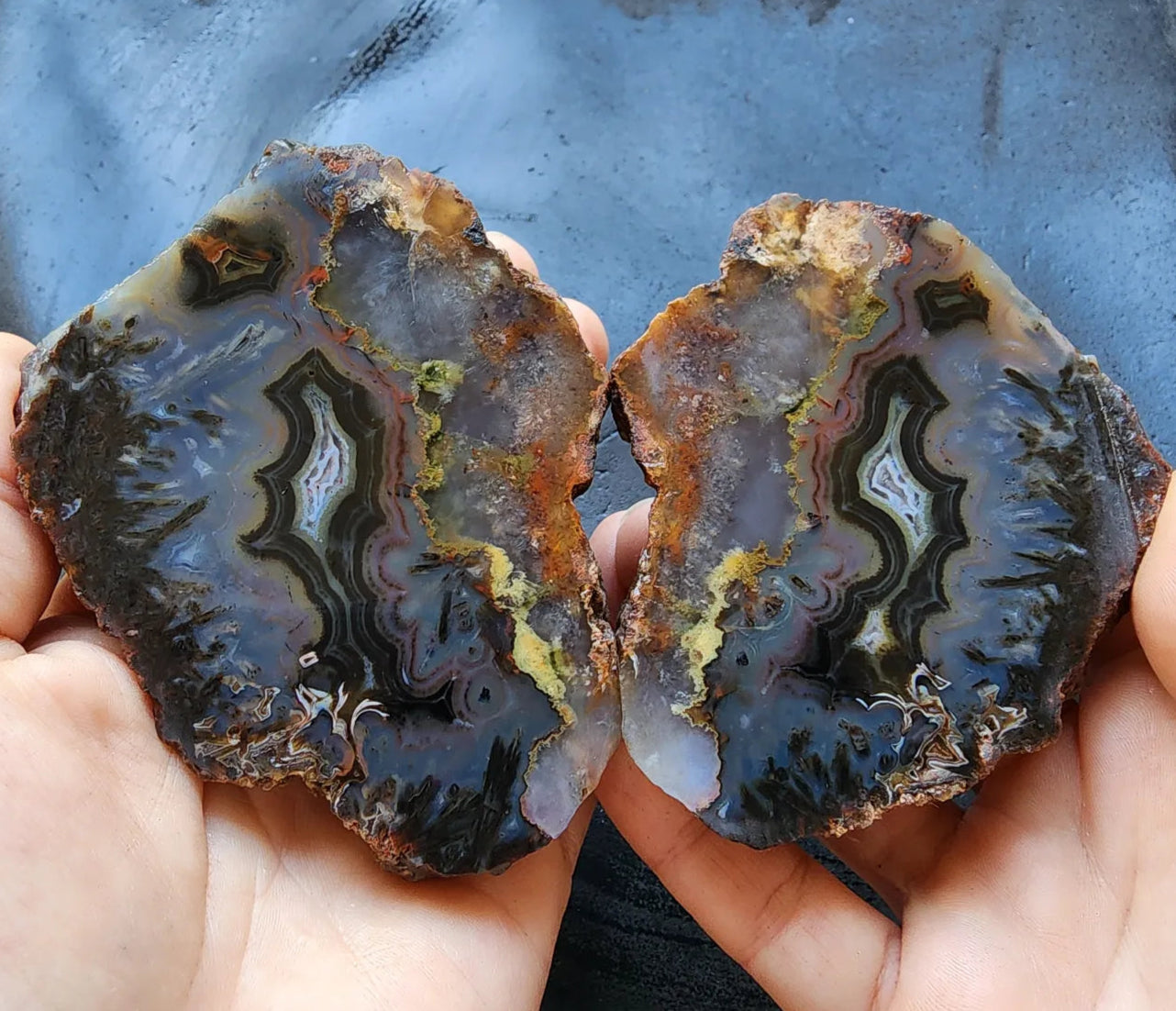 Floater Agate Pair