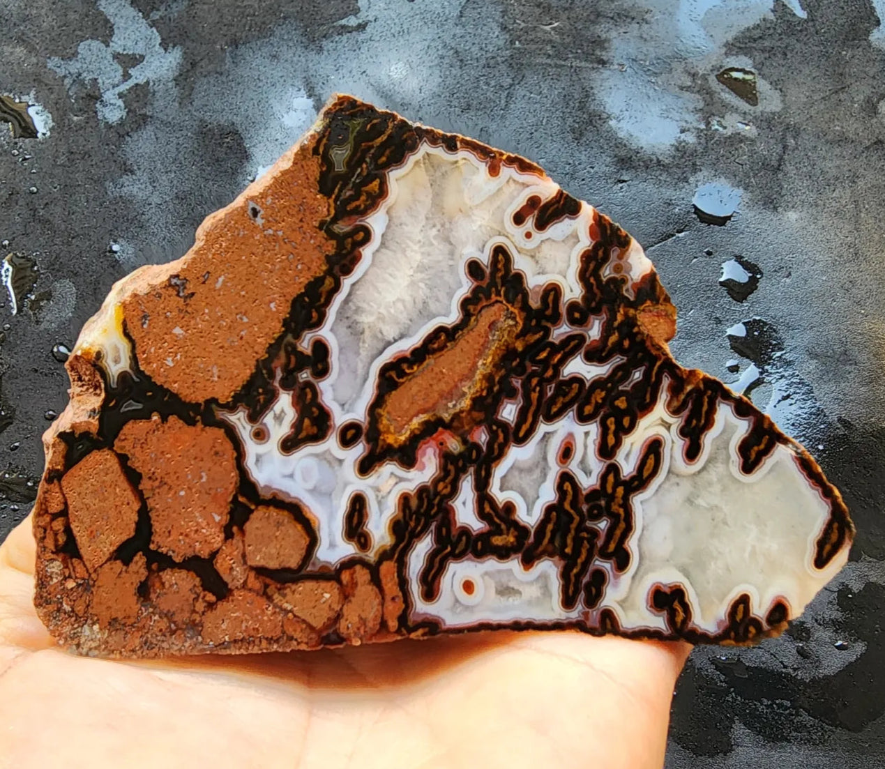 Brecciated Agate