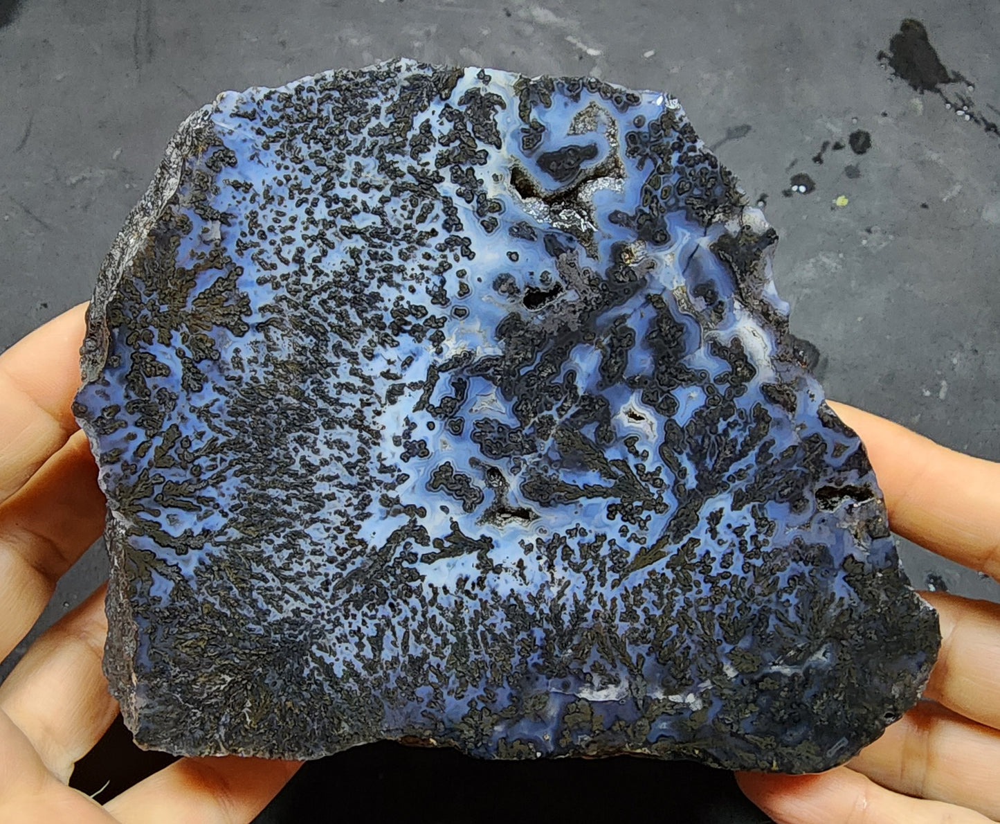 Blue Dendritic Agate Rough