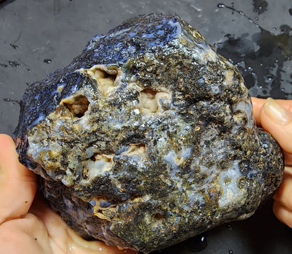 Blue Dendritic Agate Rough