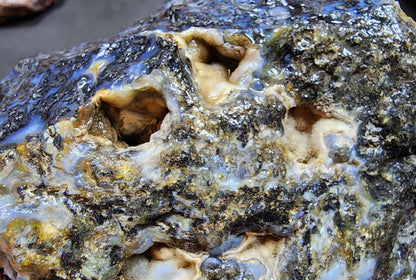 Blue Dendritic Agate Rough