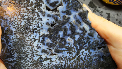 Blue Dendritic Agate Rough