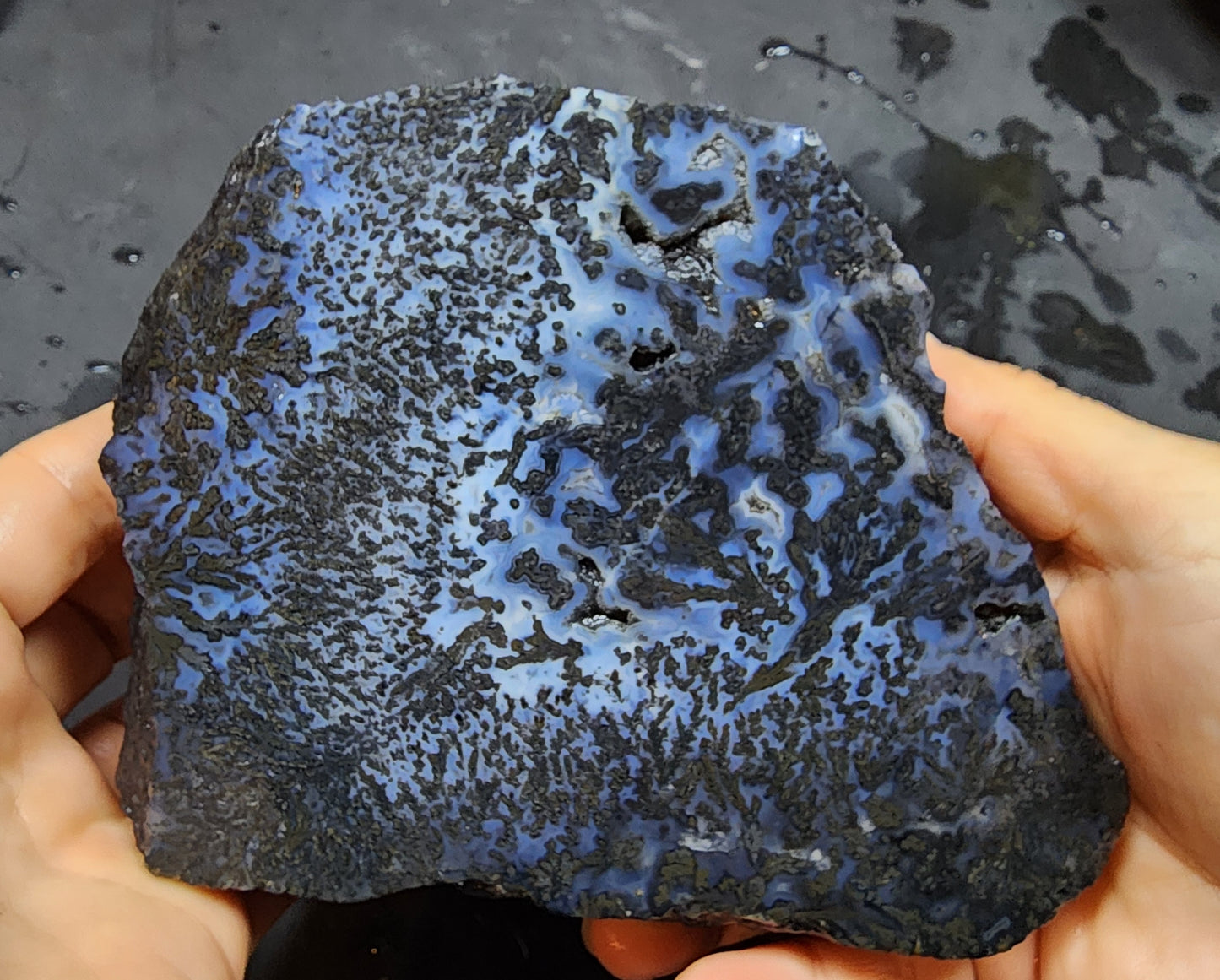 Blue Dendritic Agate Rough
