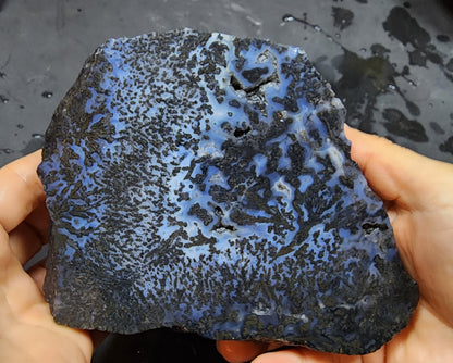 Blue Dendritic Agate Rough