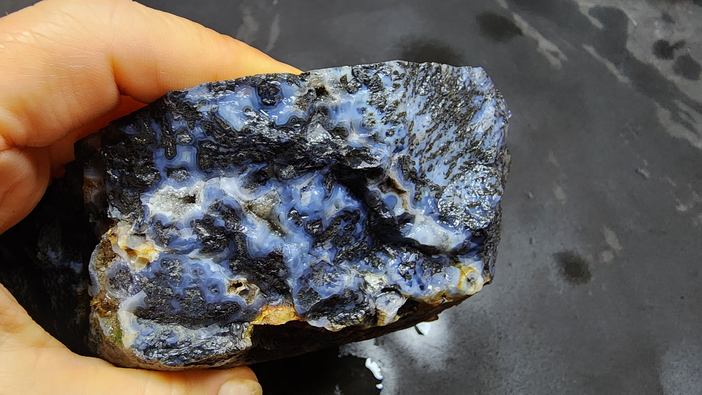Blue Dendritic Agate Rough