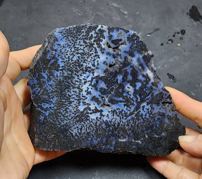 Blue Dendritic Agate Rough