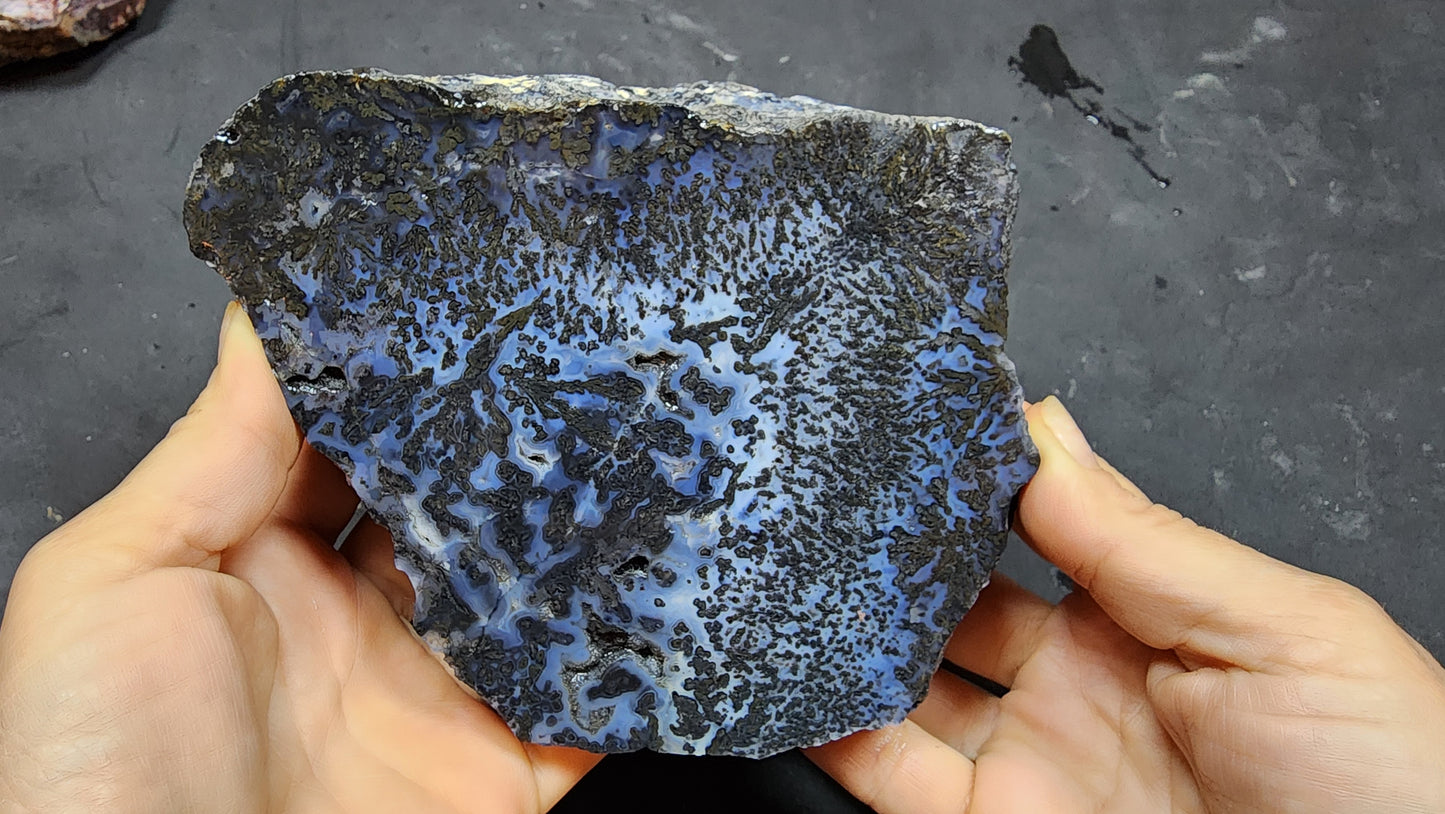 Blue Dendritic Agate Rough