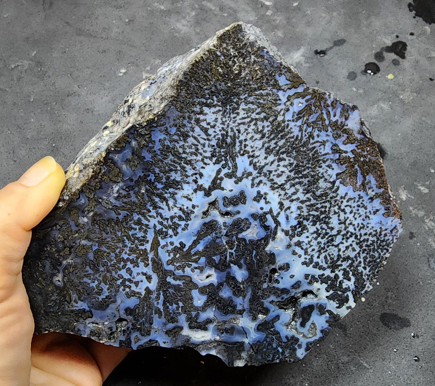 Blue Dendritic Agate Rough