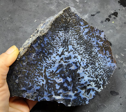 Blue Dendritic Agate Rough