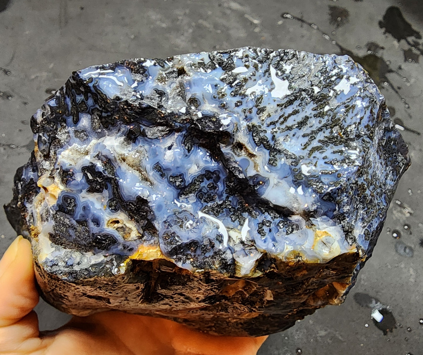 Blue Dendritic Agate Rough