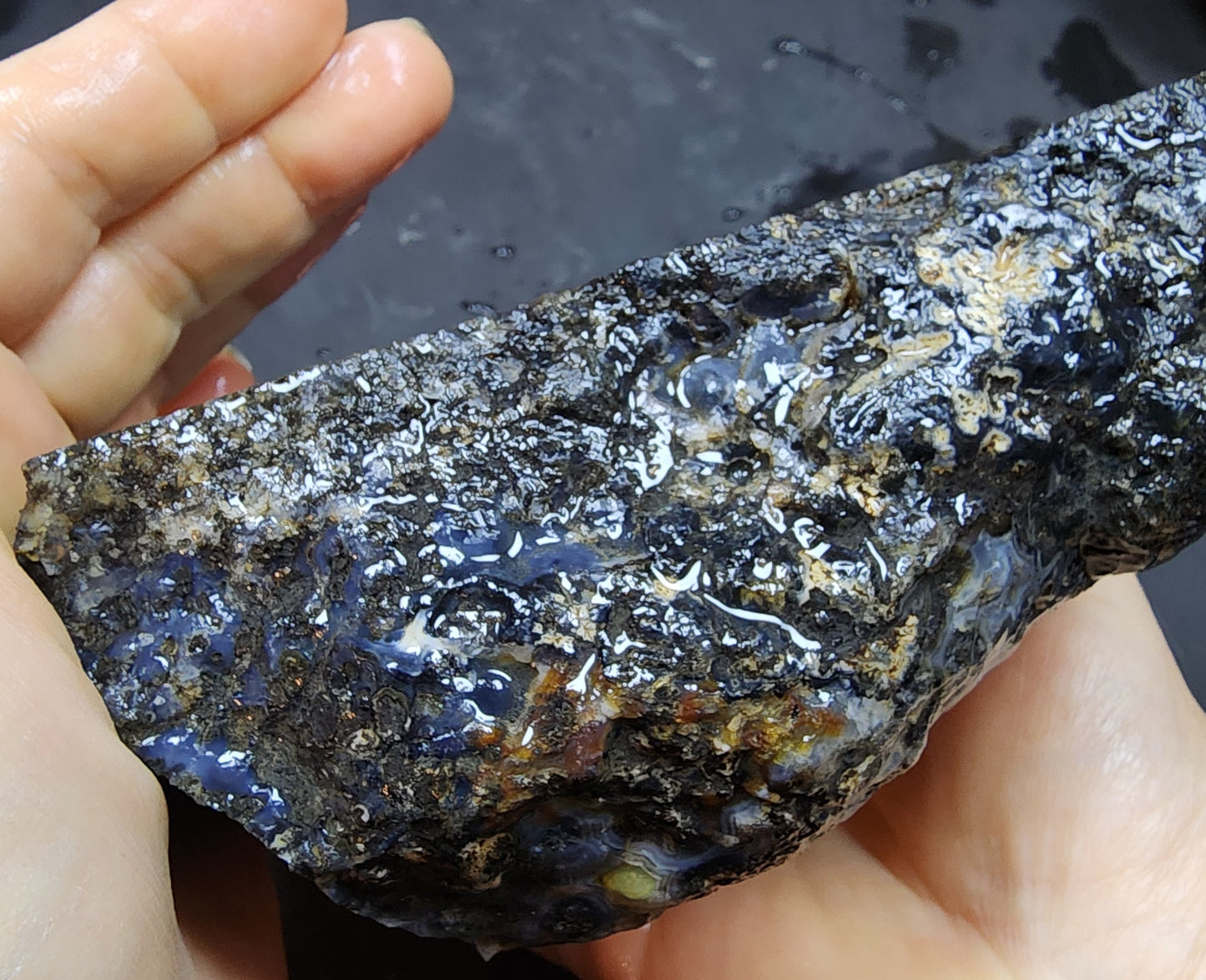 Blue Dendritic Agate Rough