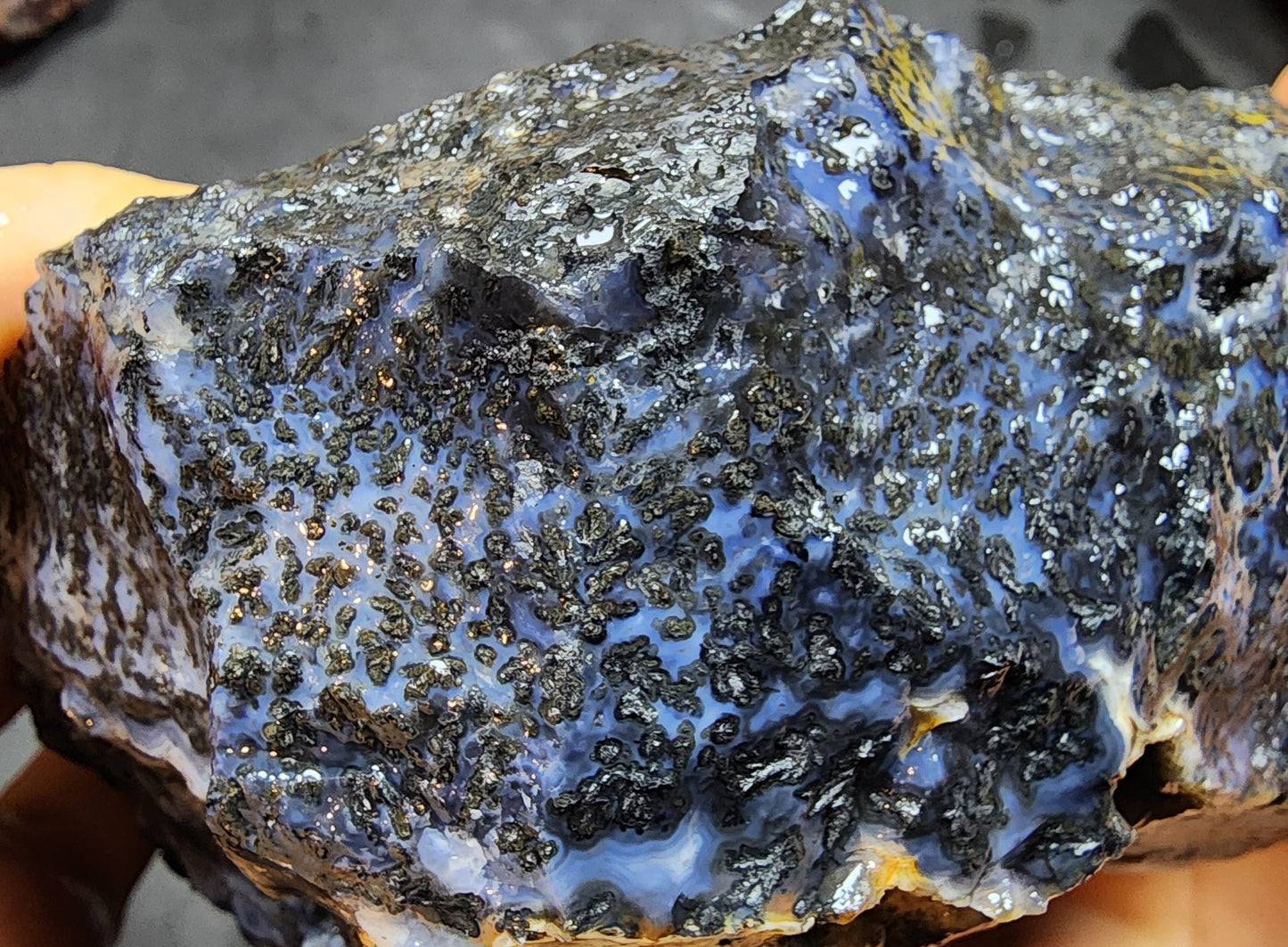 Blue Dendritic Agate Rough