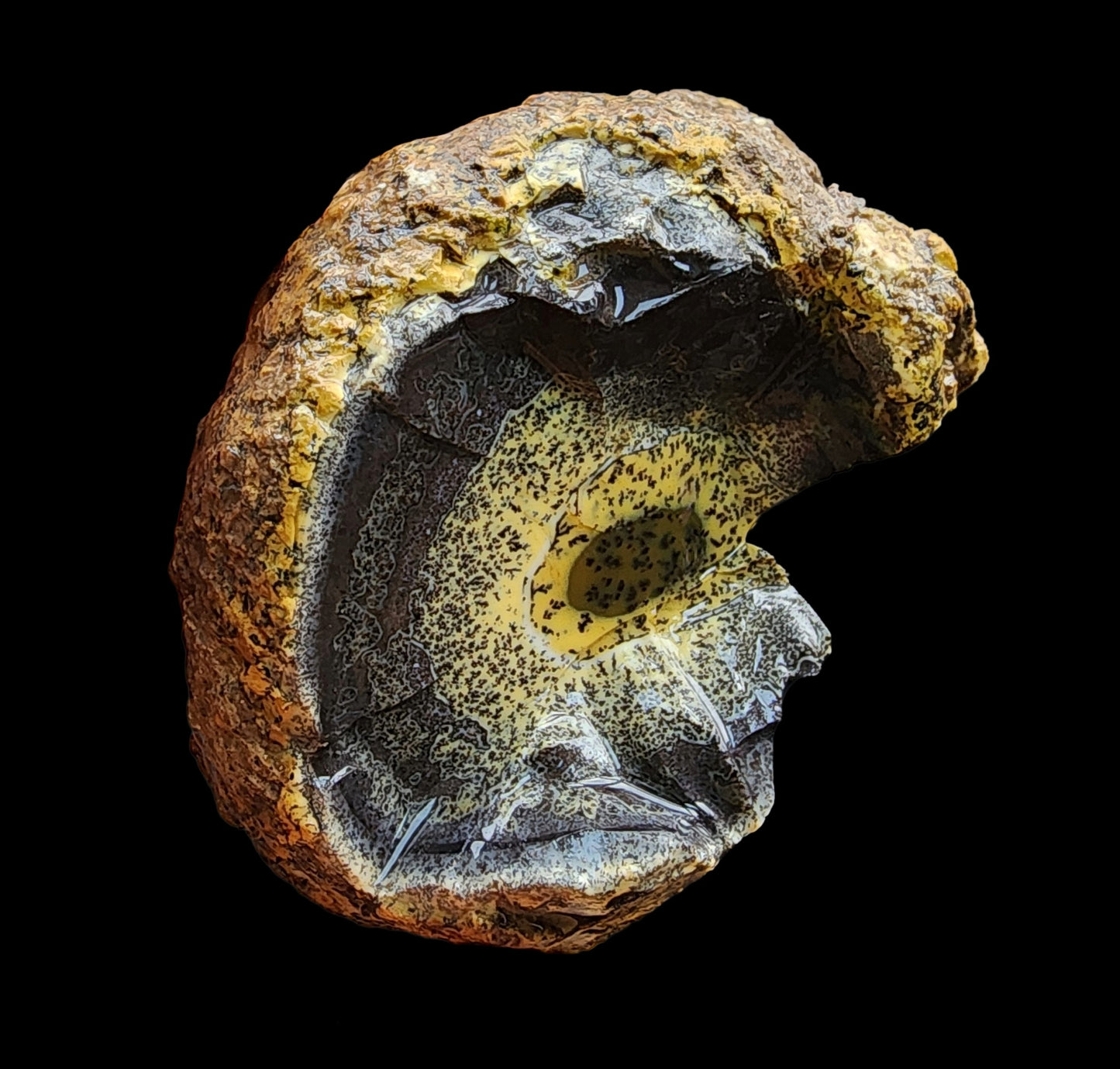 Yellow Dendritic Opal