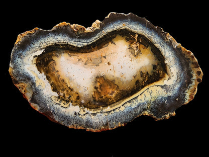 Dendritic Opal Slab
