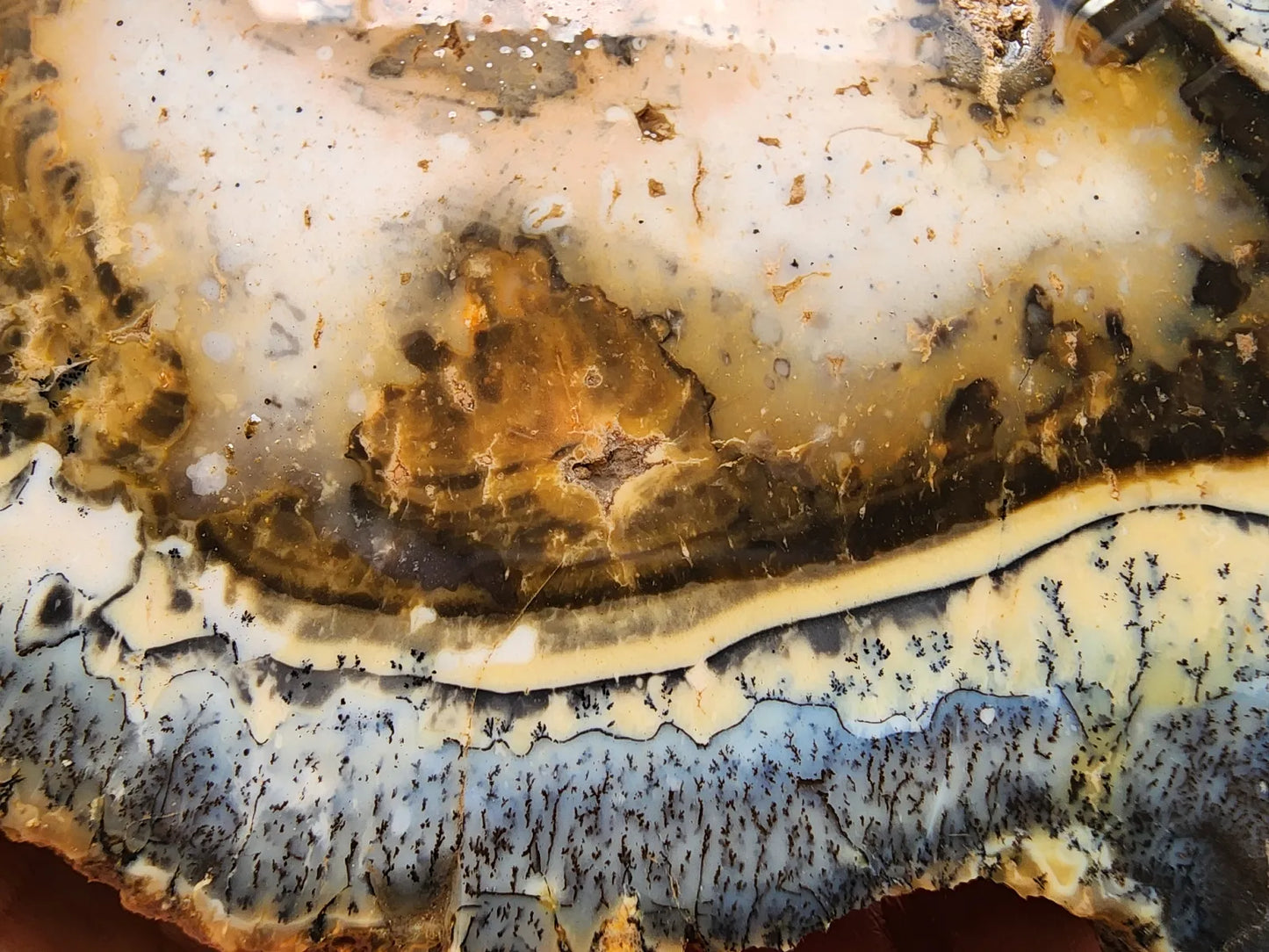 Dendritic Opal Slab