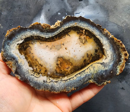 Dendritic Opal Slab