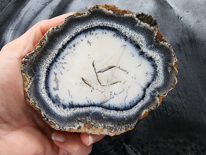 Dendritic Opal