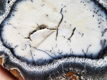 Dendritic Opal