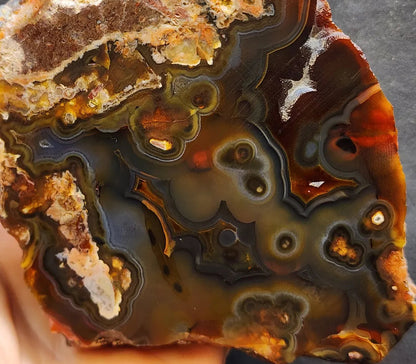 Orbicular Agate Pair
