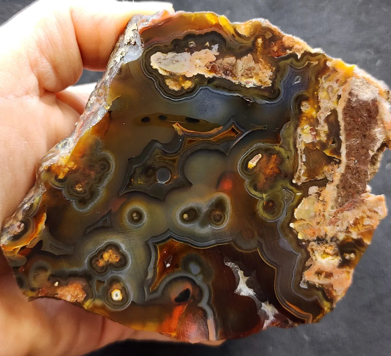 Orbicular Agate Pair