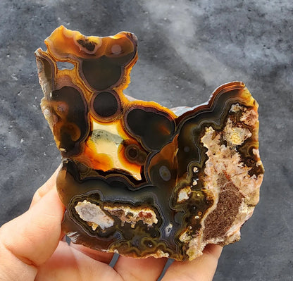 Orbicular Agate Pair