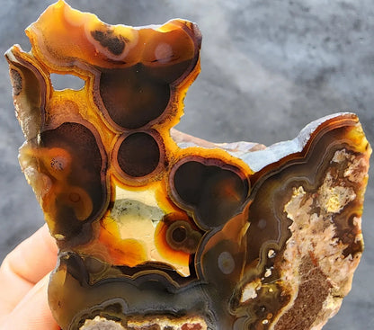 Orbicular Agate Pair