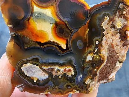 Orbicular Agate Pair