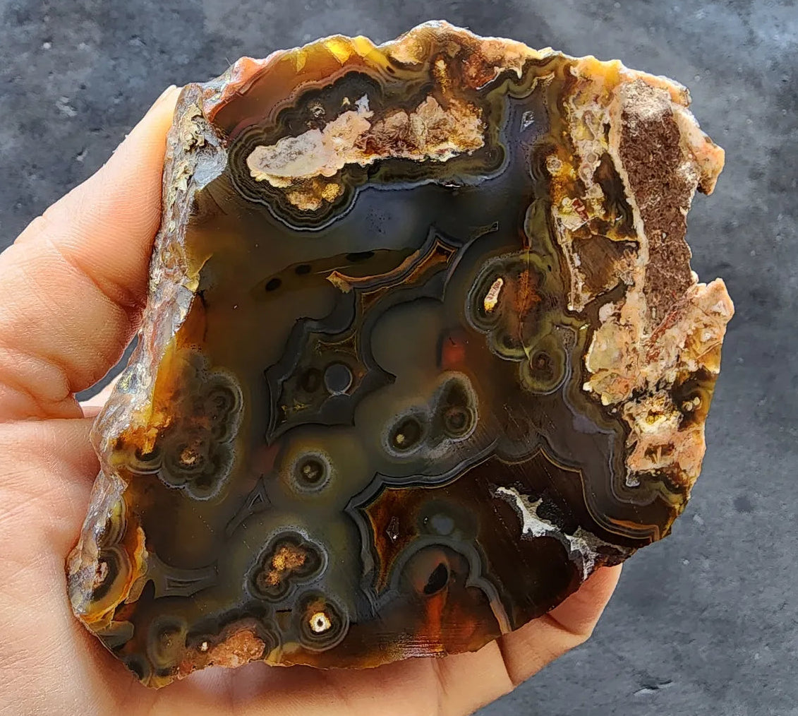 Orbicular Agate Pair