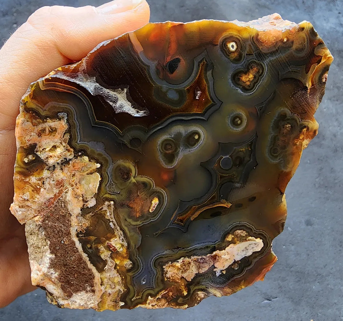 Orbicular Agate Pair
