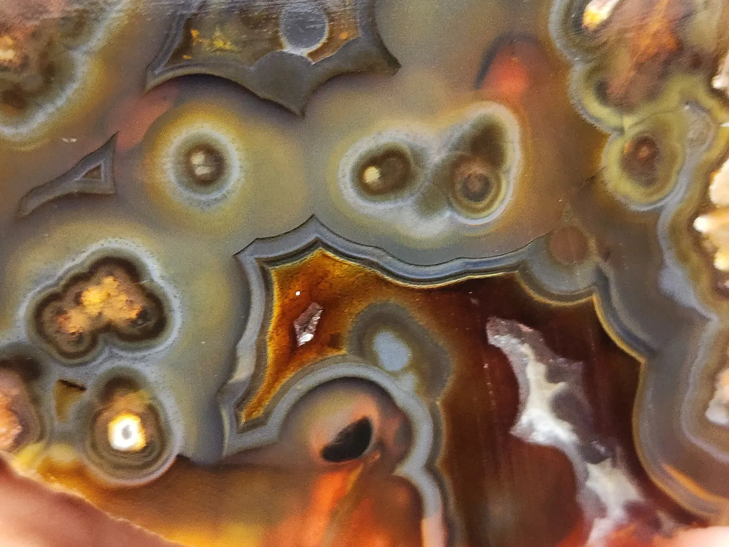 Orbicular Agate Pair