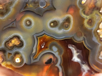 Orbicular Agate Pair
