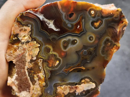 Orbicular Agate Pair