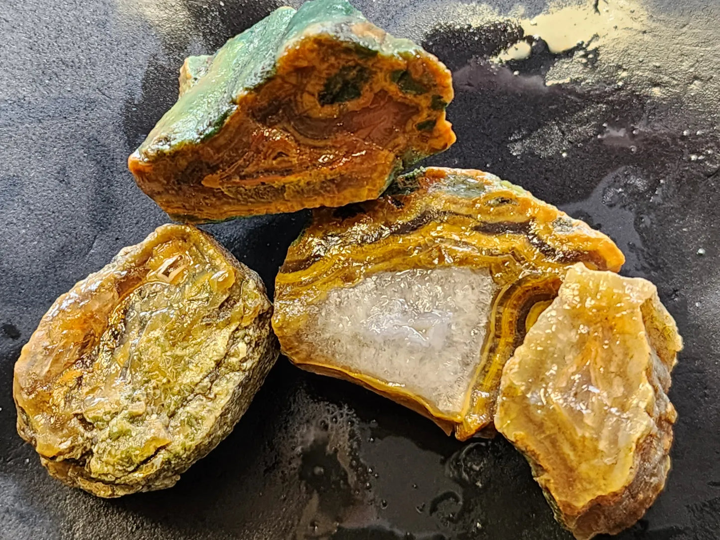 Agatized Wood - Raw Limb Casts  (10.37 oz)