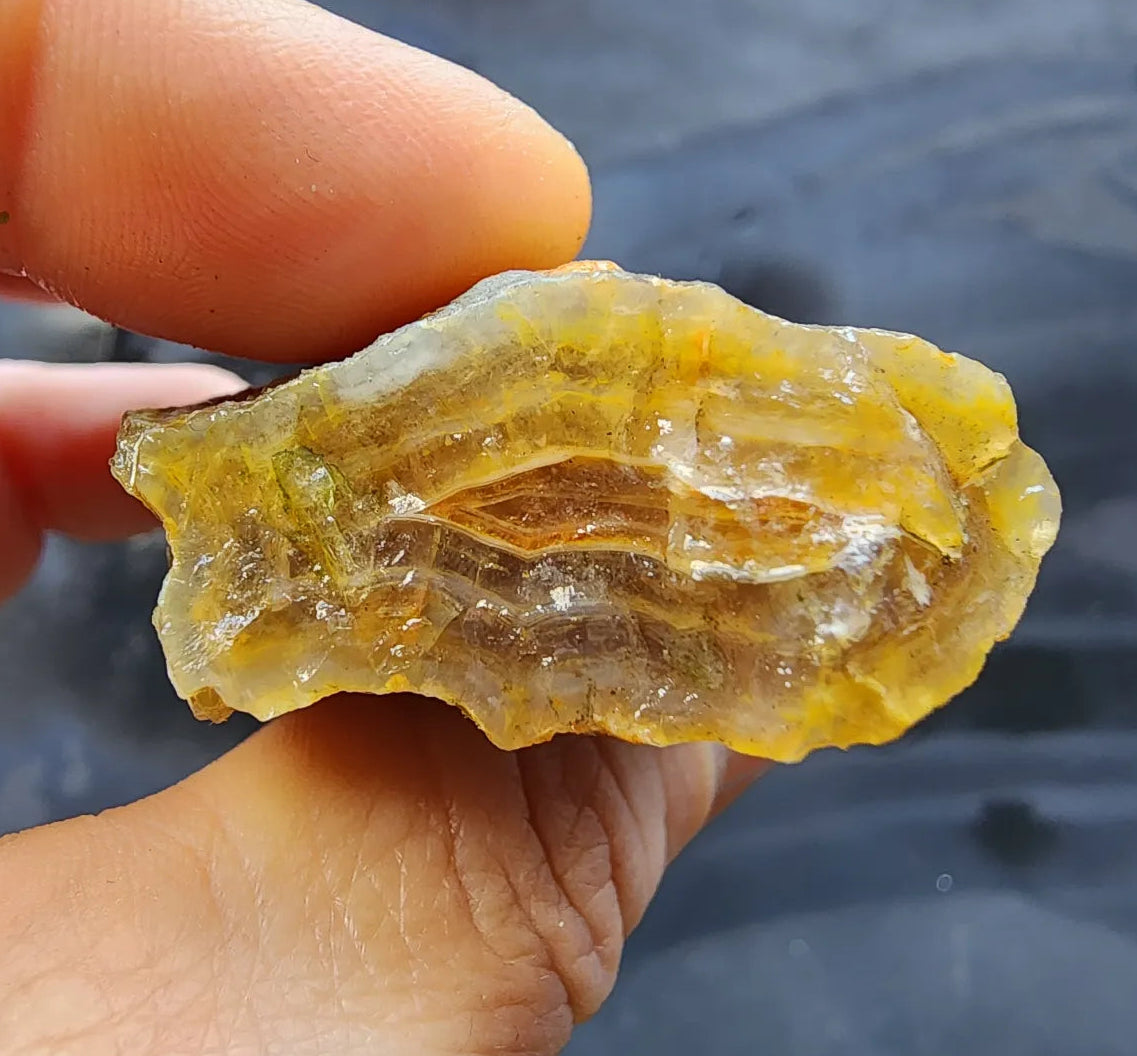 Agatized Wood - Raw Limb Casts  (10.37 oz)