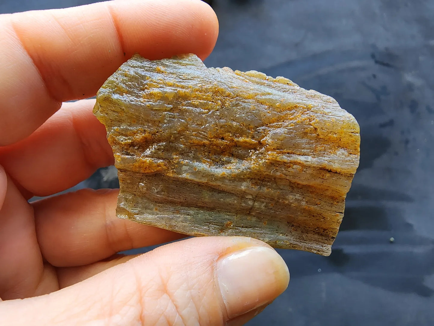 Agatized Wood - Raw Limb Casts  (10.37 oz)