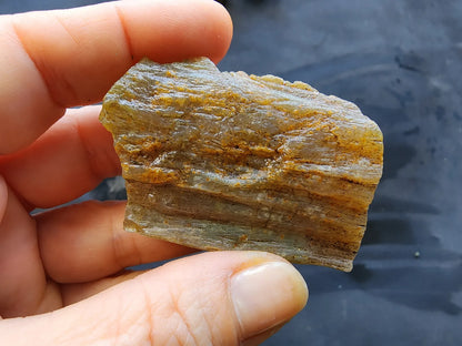 Agatized Wood - Raw Limb Casts  (10.37 oz)