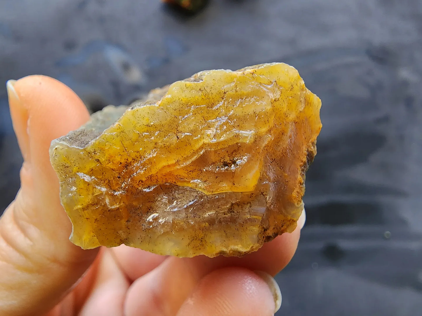 Agatized Wood - Raw Limb Casts  (10.37 oz)