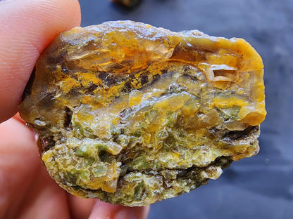 Agatized Wood - Raw Limb Casts  (10.37 oz)