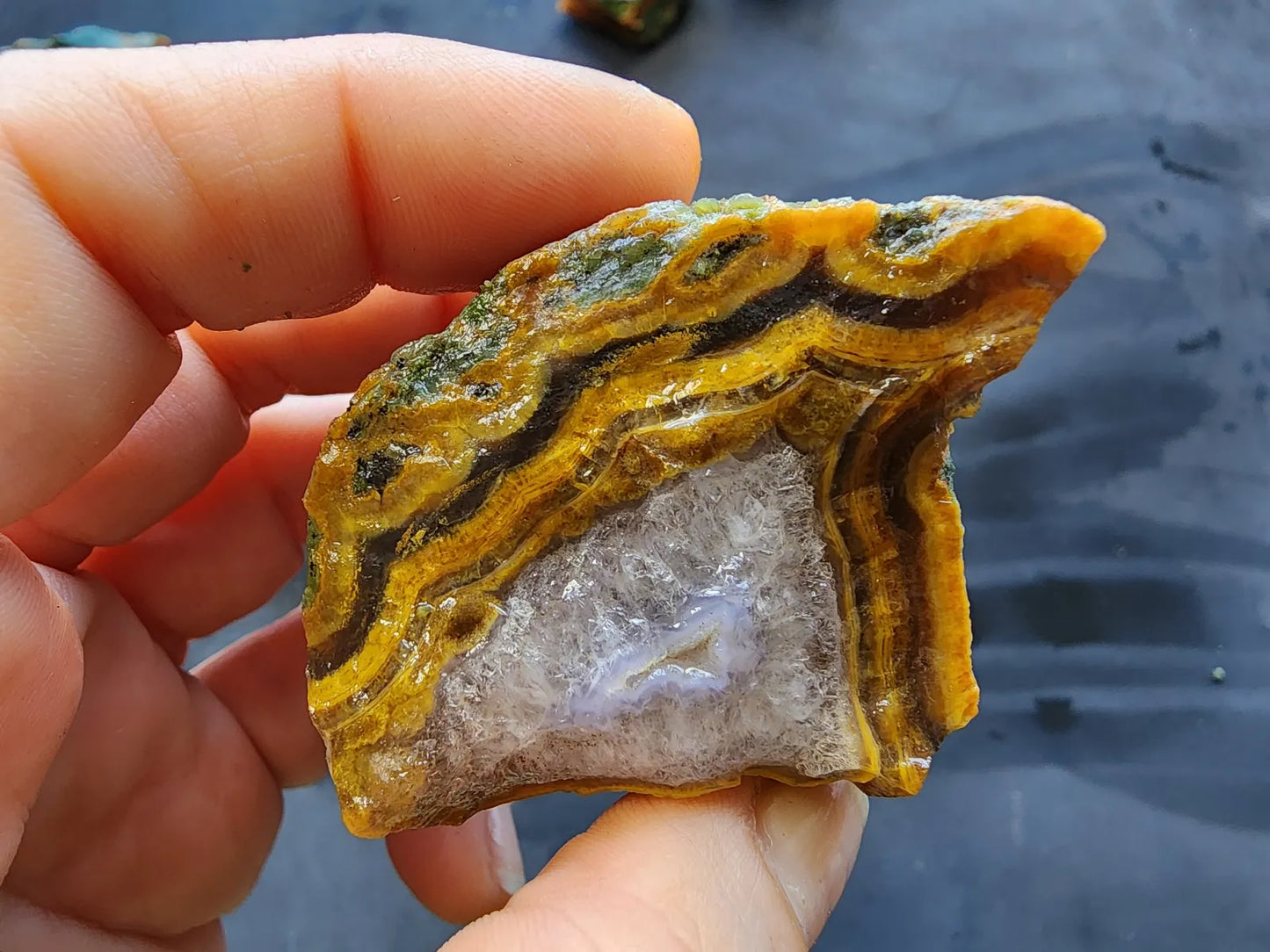 Agatized Wood - Raw Limb Casts  (10.37 oz)