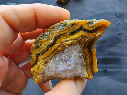 Agatized Wood - Raw Limb Casts  (10.37 oz)