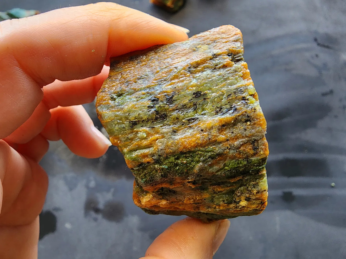 Agatized Wood - Raw Limb Casts  (10.37 oz)