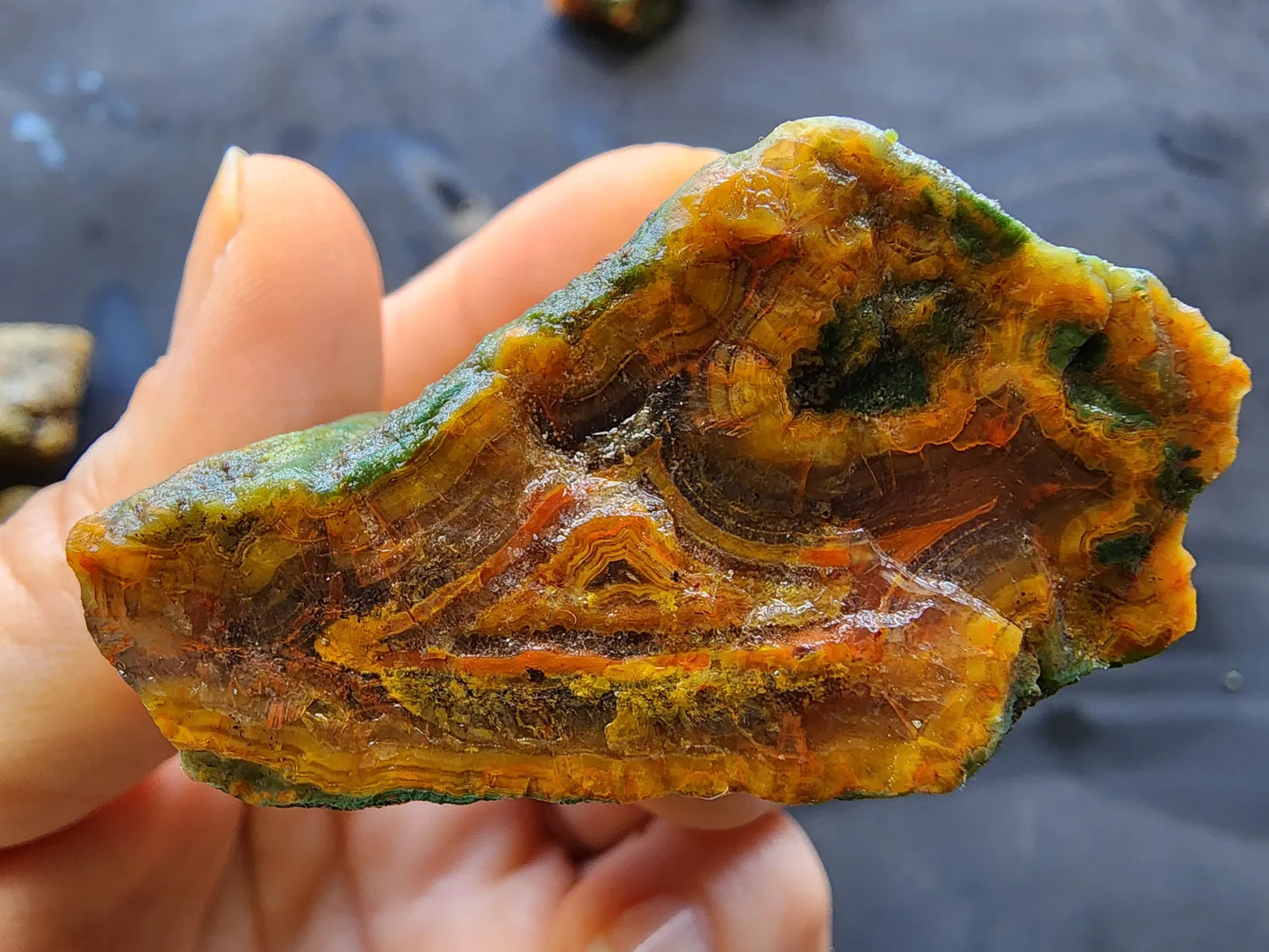 Agatized Wood - Raw Limb Casts  (10.37 oz)