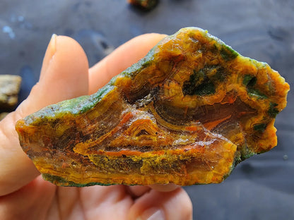 Agatized Wood - Raw Limb Casts  (10.37 oz)