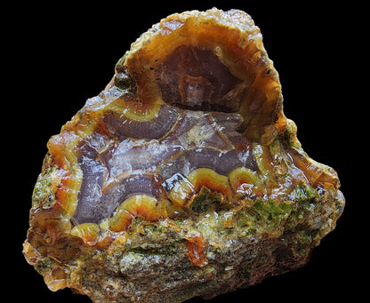 Agatized Wood Log : 4.6 lbs