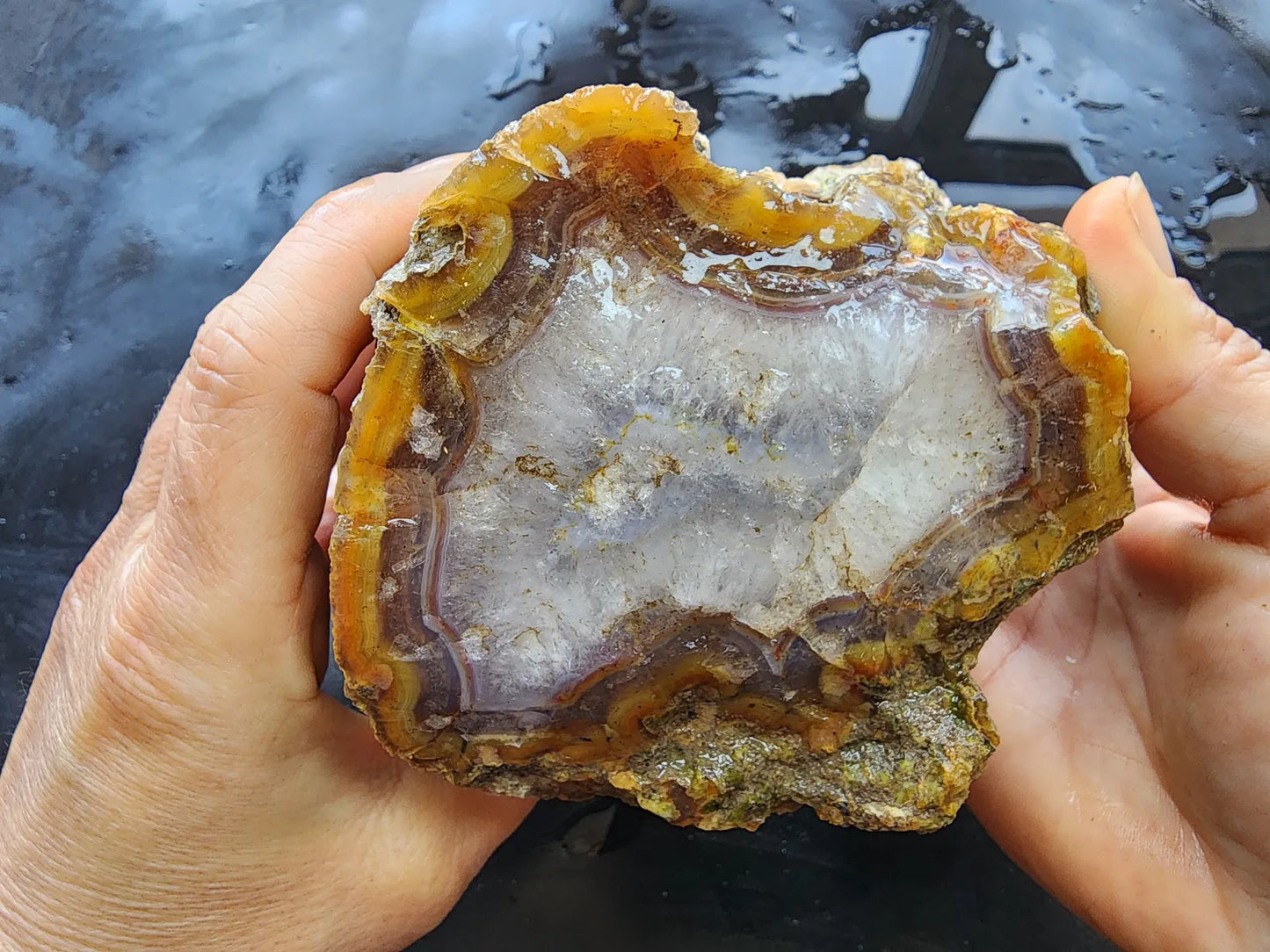 Agatized Wood Log : 4.6 lbs